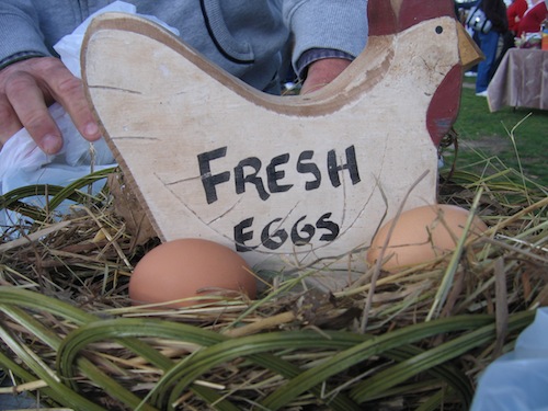 fresh eggs