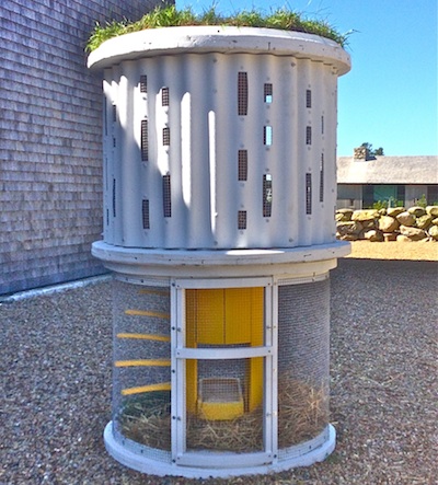 Chicken Coop with spiral staircase