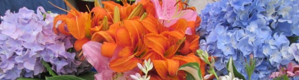 hydrangea, lily flowers