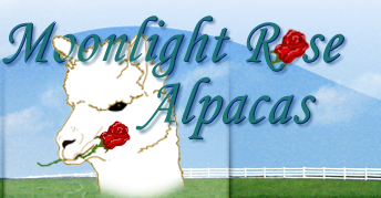 Moonlight Rose Alpacas