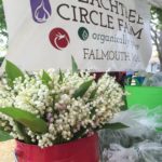 Lily of the Valley at Falmouth Farmers Market on May 26, 2016