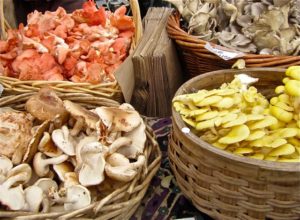 Falmouth Farmers Market June 2016 mushrooms