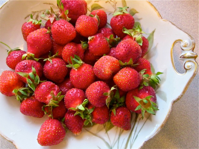 Falmouth Farmers Market Strawberries 2016