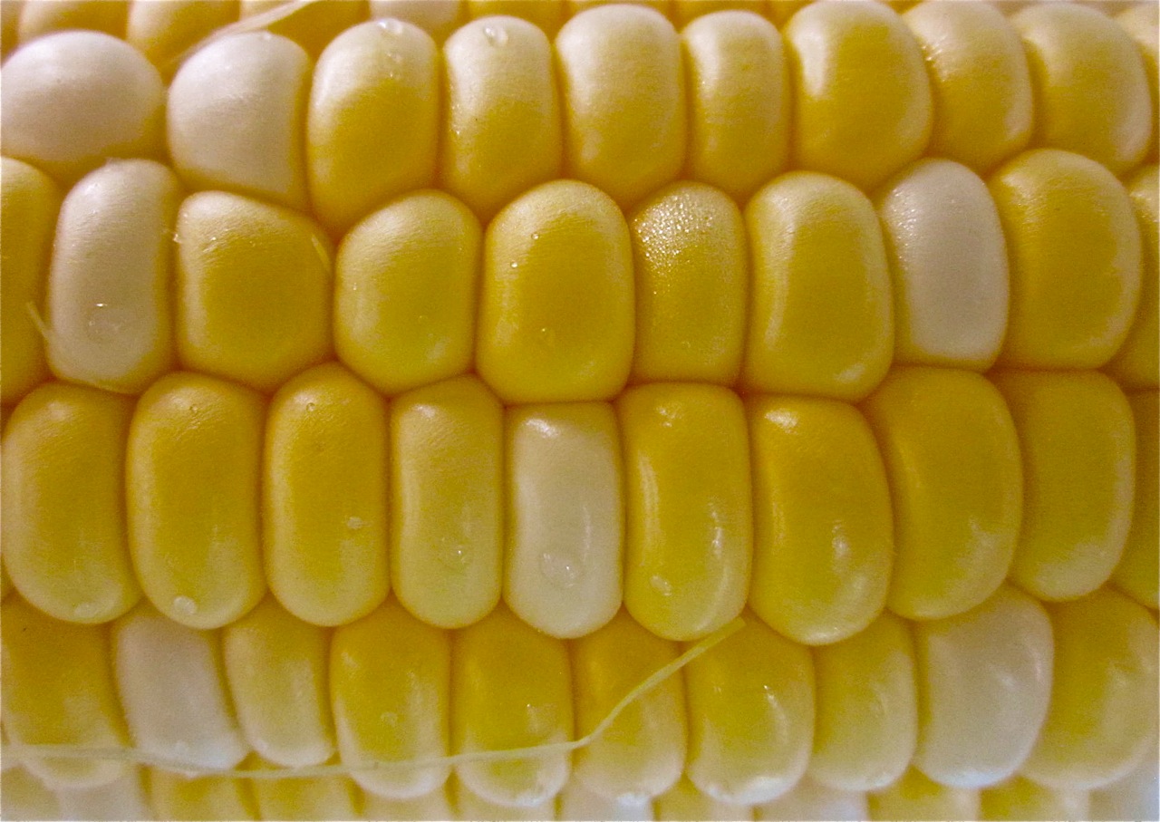Corn from Falmouth Farmers Market