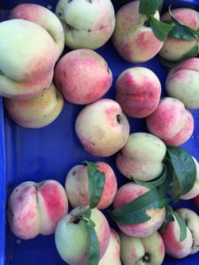 Falmouth Farmers Market 2015 peaches