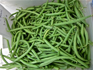 Green Beans at Falmouth Farmers Market July 2016