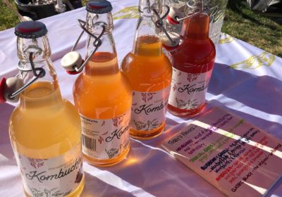 Bottles of kombucha in various hues made by Independent Fermentations