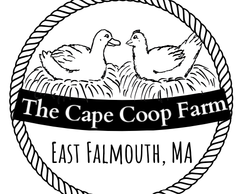 The Cape Coop Farm