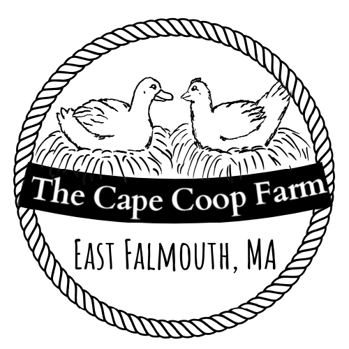 The Cape Coop Farm