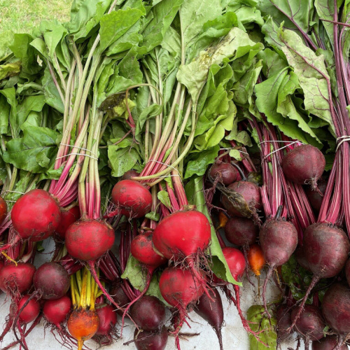 Thursday, June 13 Market