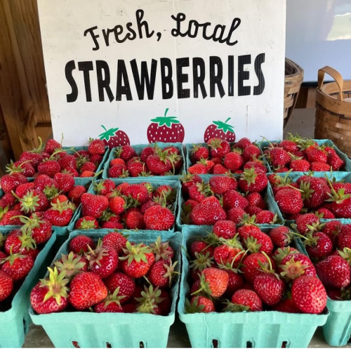 Thursday, June 20 Market