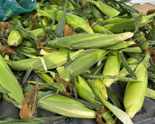 Thursday, July 18 Market