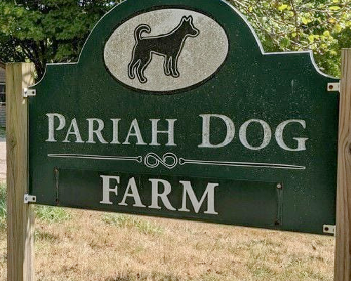 Pariah Dog Farm