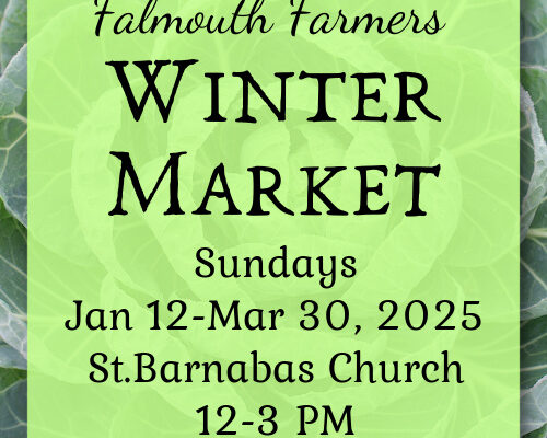 Winter Market is coming!