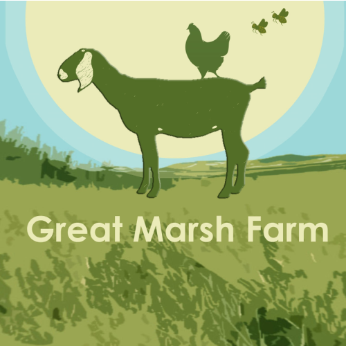 Great Marsh Farm