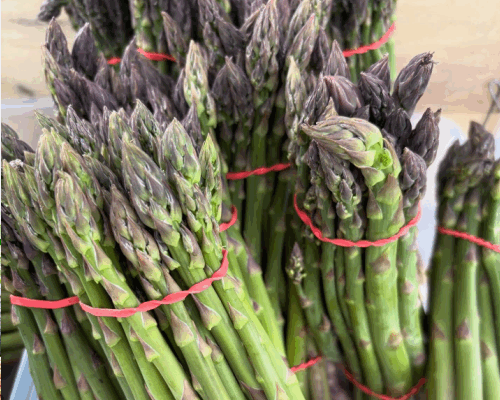 Summer Market 2025 is here!