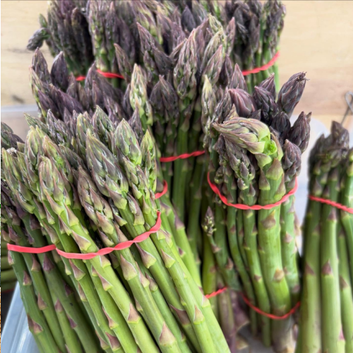 Summer Market 2025 is here!