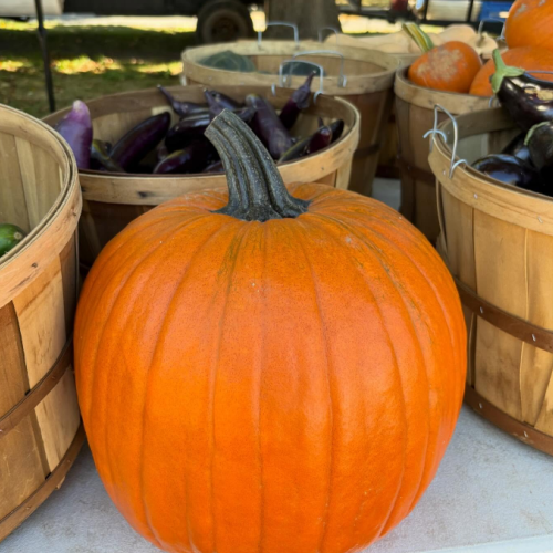 Falmouth Farmers Harvest Market