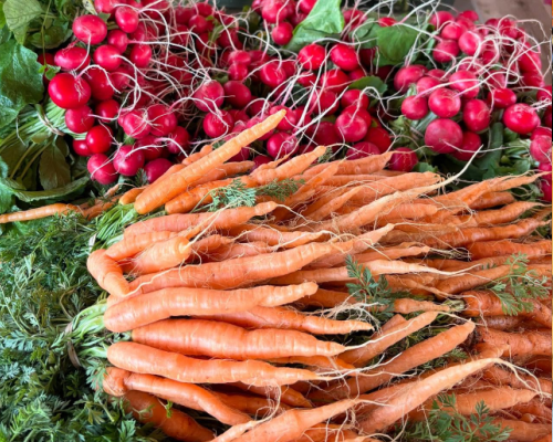 Falmouth Farmers Winter Market 2026 – January Vendors