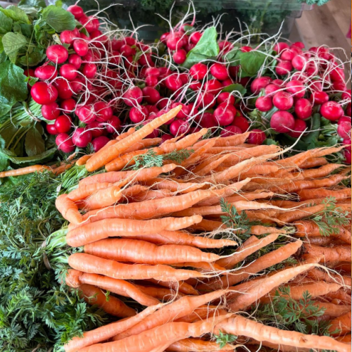 Falmouth Farmers Winter Market 2026 – January Vendors