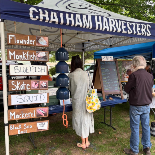 Summer Market Vendors for Thursday, May 28
