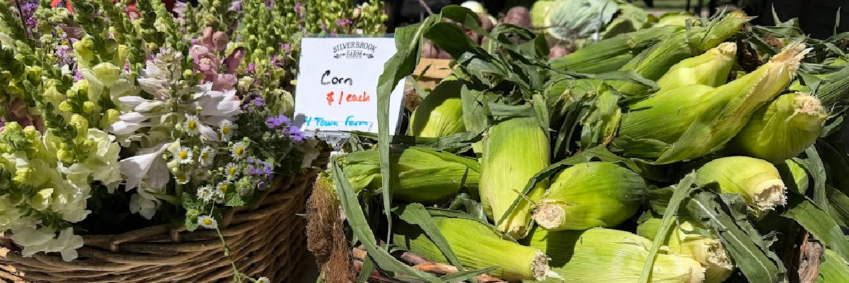Falmouth Farmers Market